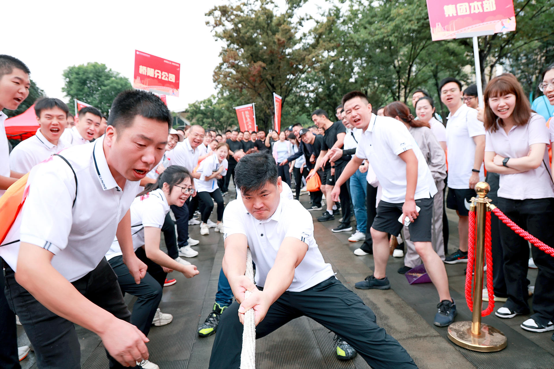 香港正版内部资料大公开2024