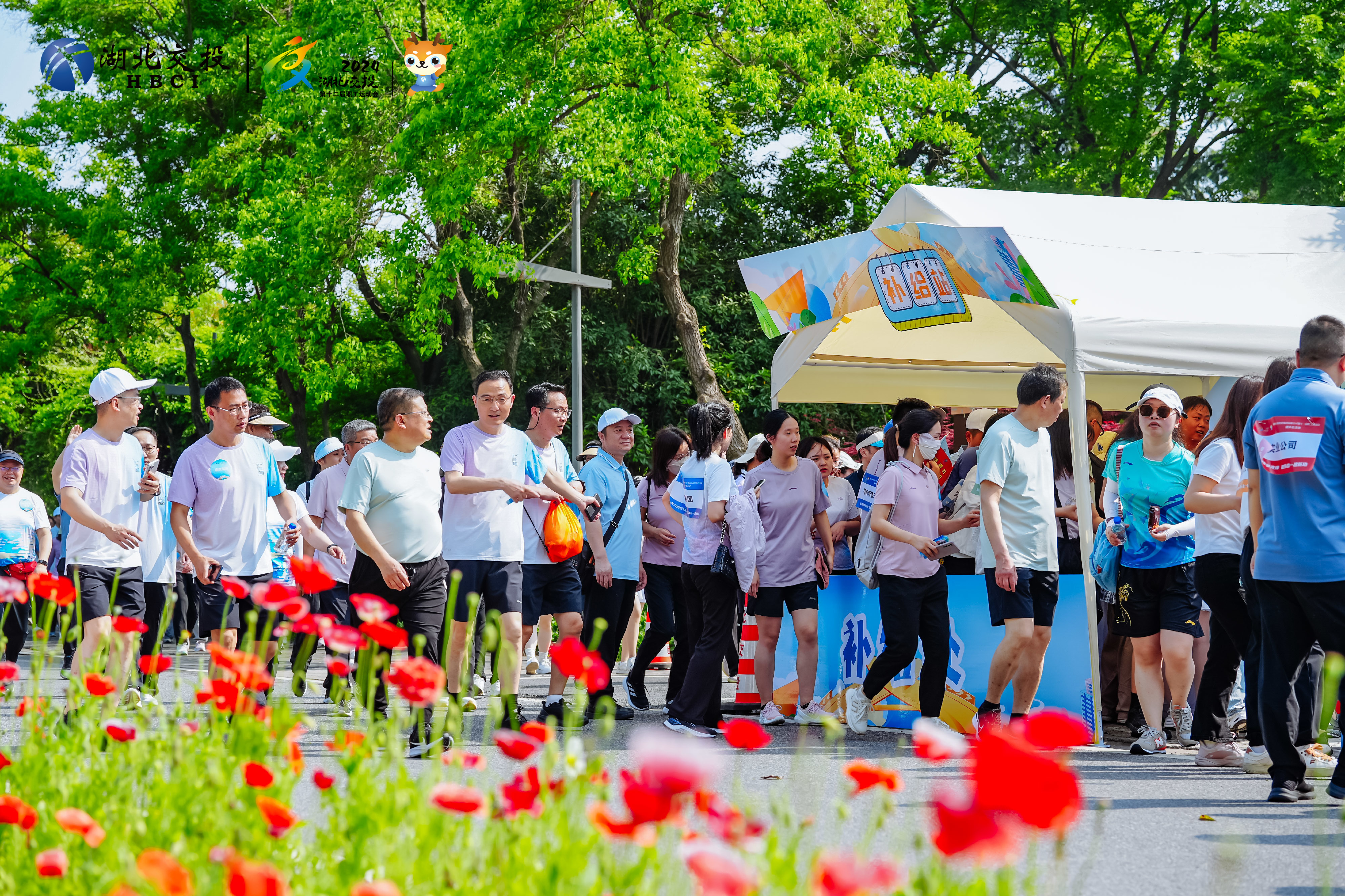 香港正版内部资料大公开2024