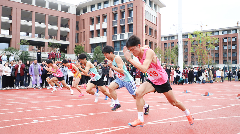 香港正版内部资料大公开2024