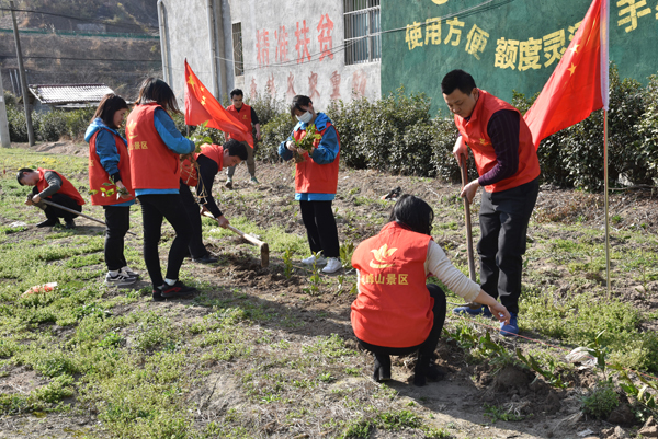 香港正版内部资料大公开2024