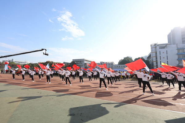 香港正版内部资料大公开2024